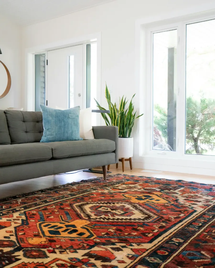 Freshly cleaned red and navy Persian-style area rug in a sunny living room