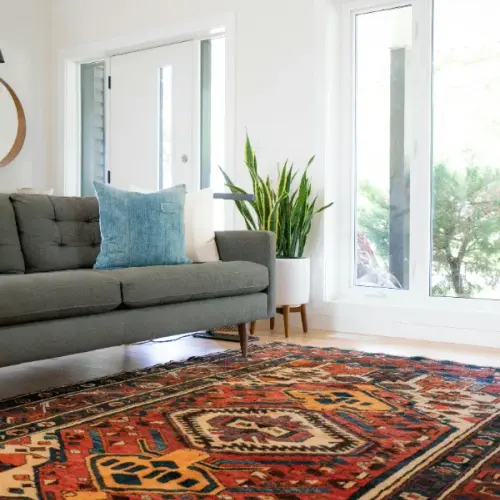 Clean area rug in a bright living room